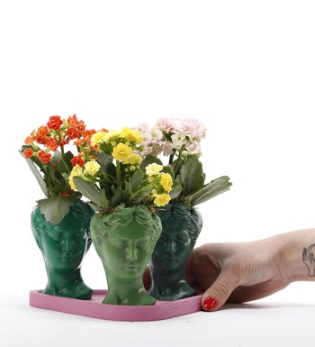 Trio Mini Helen Serisi Kalanchoe Tasarım - Pembe Kaide görsel 4