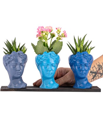 Trio Mini Helen Serisi Kalanchoe ve Haworthia Tasarım - Blue Colors görsel 2