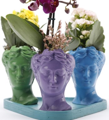 Trio Mini Helen Serisi Mini Orkide ve Kalanchoe Tasarım - Turkuaz Kaide görsel 2