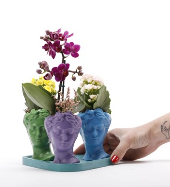Trio Mini Helen Serisi Mini Orkide ve Kalanchoe Tasarım - Turkuaz Kaide görsel 3