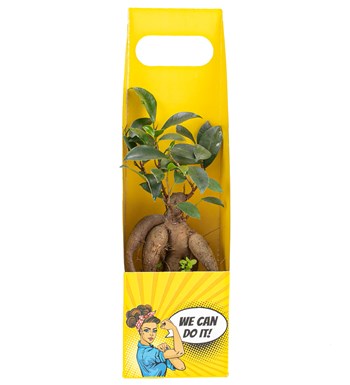 We Can Do It Serisi Mini Bonsai Tasarım görsel 2